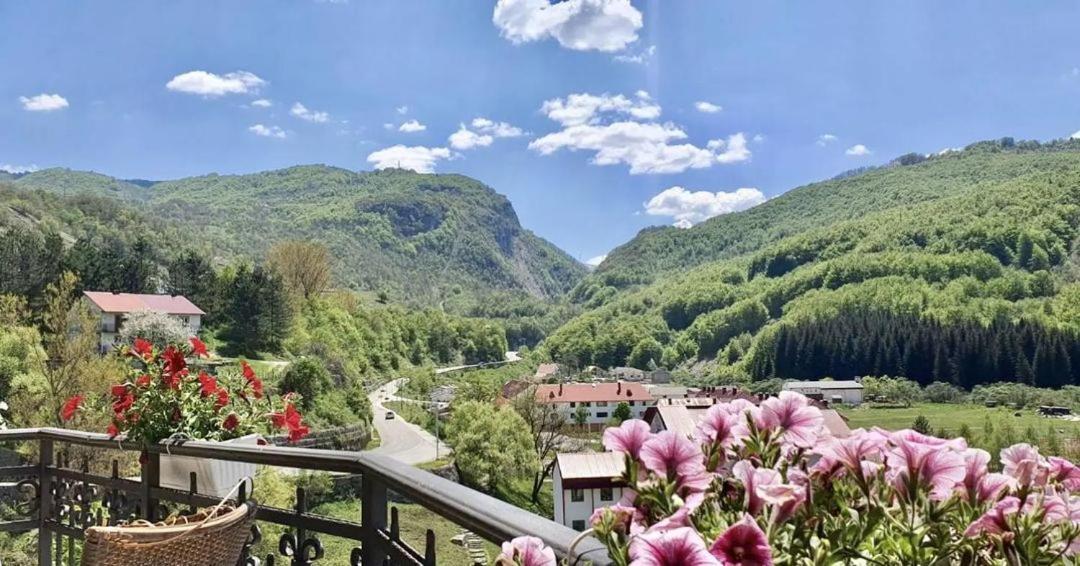 Hotel Djokovic Savnik Exteriör bild